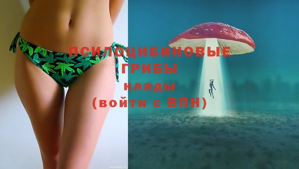 ешки Баксан