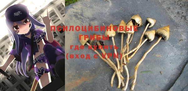 молекула духа Балабаново